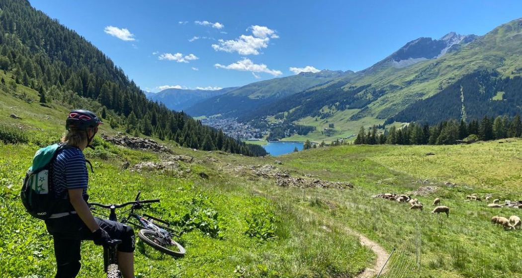 Mountainbike Tour Privat Davos (exp_493428d) Mountainbike Tour Privat Davos (exp_493428d)
