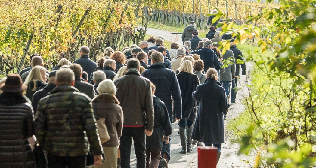 Weintour für grosse Gruppen (exp_d611a04) Weintour für grosse Gruppen (exp_d611a04)