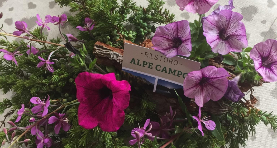 AD0755D3-442F-4720-B0A6-EE1146FEF90A