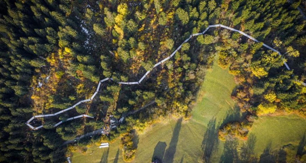Geologische Wanderung auf dem längsten Baumwipfelpfad der Welt (gdl_668149958_image) Geologische Wanderung auf dem längsten Baumwipfelpfad der Welt (gdl_668149958_image)