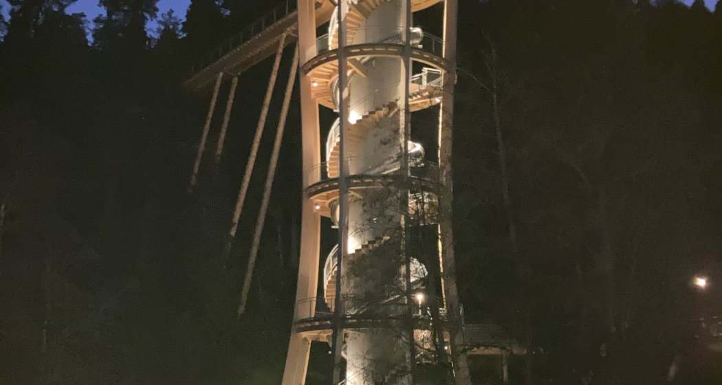 Geologische Wanderung auf dem längsten Baumwipfelpfad der Welt (gdl_668149959_image) Geologische Wanderung auf dem längsten Baumwipfelpfad der Welt (gdl_668149959_image)