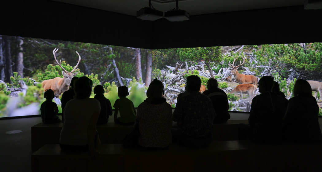 Nationalparkzentrum Zernez (gdl_768010828_image)