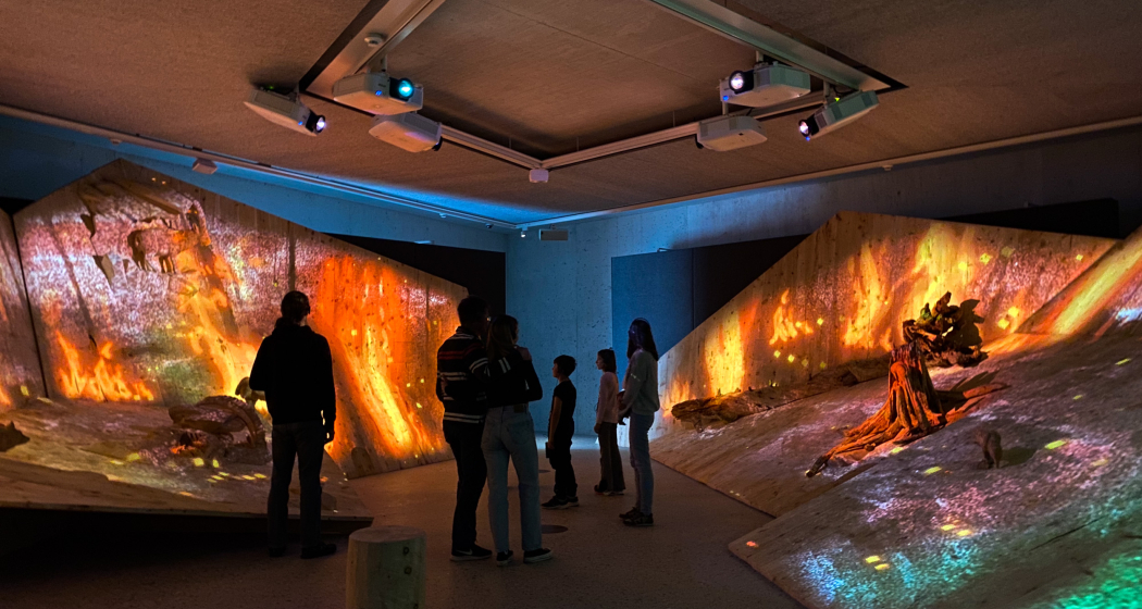 Nationalparkzentrum Zernez (gdl_768013896_image)