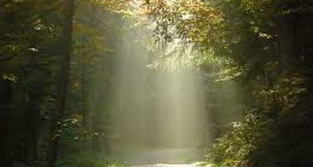 Konfirmationsunterricht (gdl_797625975_image)