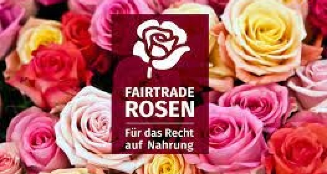 Konfirmationsprojekt Rosenverkauf (gdl_797625981_image) Konfirmationsprojekt Rosenverkauf (gdl_797625981_image)