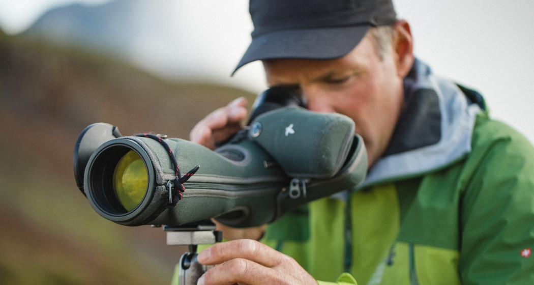 Steinwildbeobachtung Marangun - Sesvenna (gdl_810858710_image)