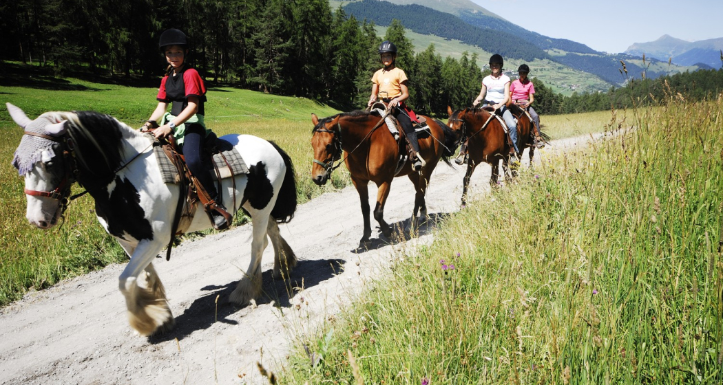 Jugend-Reitwochen (gdl_810858869_image) Jugend-Reitwochen (gdl_810858869_image)