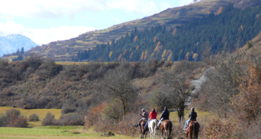 2-Tagesritt ins Val Sinestra und zum Hof Zuort (gdl_810859096_image) 2-Tagesritt ins Val Sinestra und zum Hof Zuort (gdl_810859096_image)