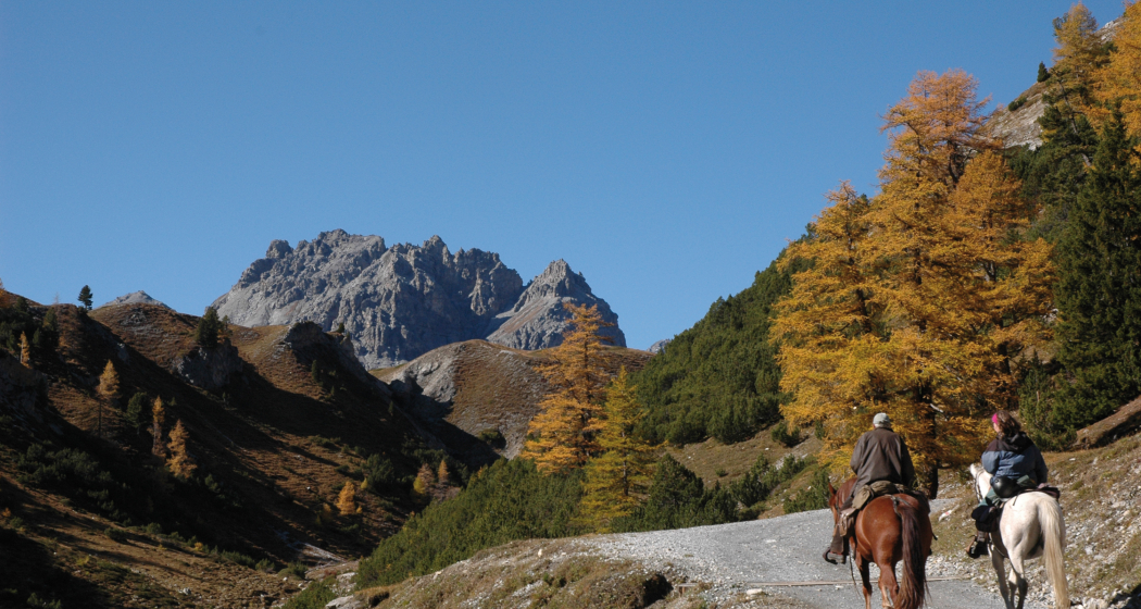2-Tagesritt ins Val Sinestra und zum Hof Zuort (gdl_810859100_image) 2-Tagesritt ins Val Sinestra und zum Hof Zuort (gdl_810859100_image)