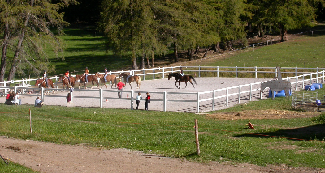 Reitunterricht für Anfänger (gdl_810859416_image) Reitunterricht für Anfänger (gdl_810859416_image)
