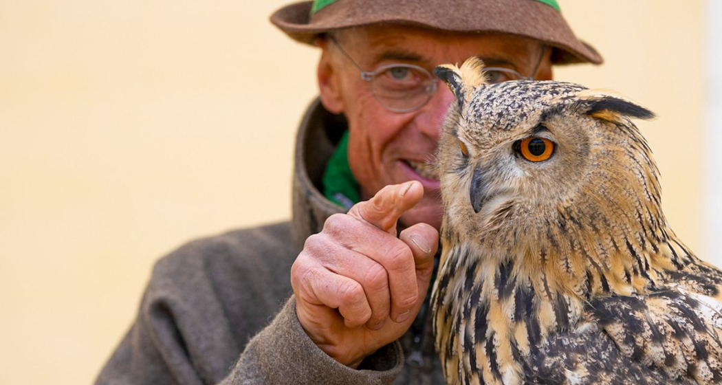 Mittwoch | Die faszinierende Welt von Uhu «Bubo» (gdl_810859575_image) Mittwoch | Die faszinierende Welt von Uhu «Bubo» (gdl_810859575_image)
