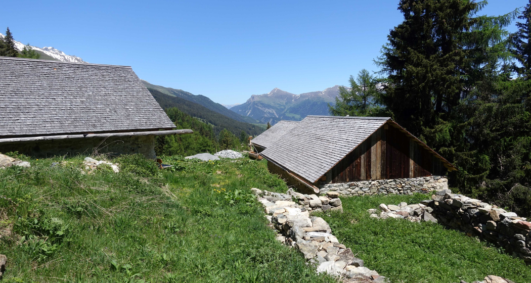 Land- und Alpwirtschaft – früher und heute (gdl_814125255_image)