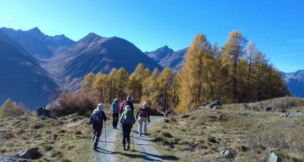 Wanderung für Seniorinnen und Senioren (gdl_855926866_image)