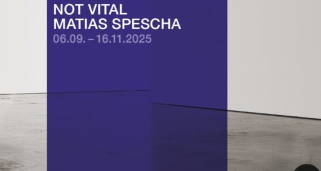 Ausstellung: Not Vital / Matias Spescha in Trun (gdl_860220302_image)