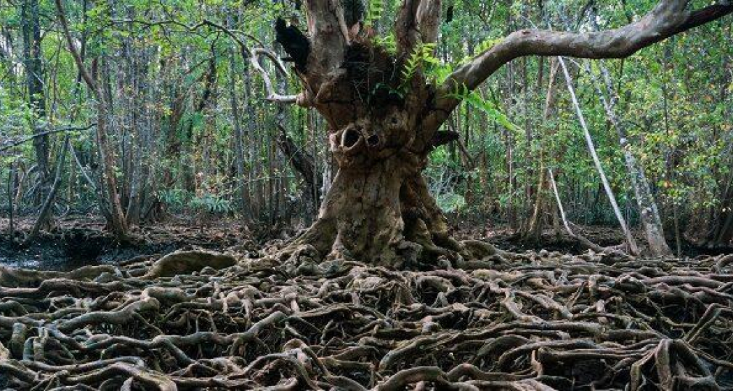 ArosaAkademie «Kinoabend» (gdl_867588517_image)
