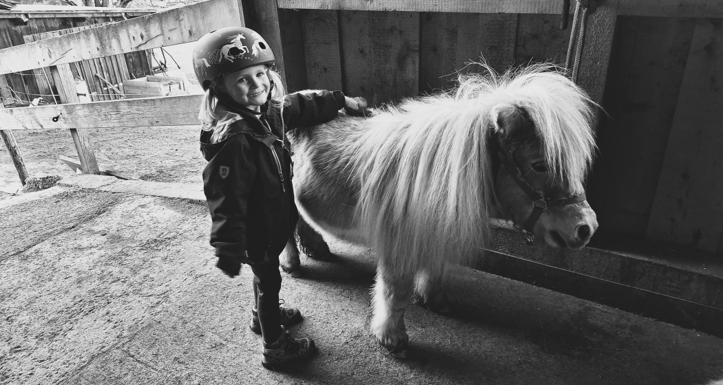Kindernachmittage "Rund ums Pony" (gdl_867885736_image) Kindernachmittage "Rund ums Pony" (gdl_867885736_image)