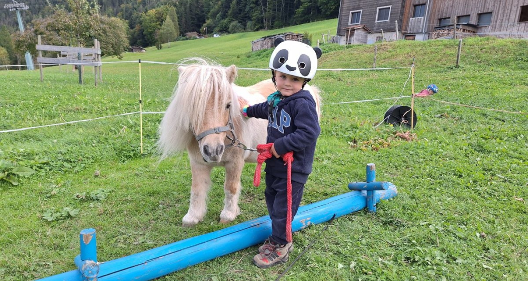 Kindernachmittage "Rund ums Pony" (gdl_867885737_image) Kindernachmittage "Rund ums Pony" (gdl_867885737_image)