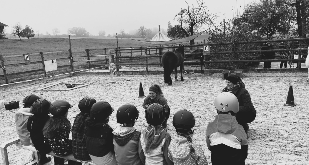 Kindernachmittage "Rund ums Pony" (gdl_867889336_image) Kindernachmittage "Rund ums Pony" (gdl_867889336_image)