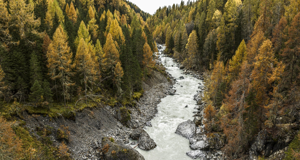 Forum Aua Forta – Wassertage Scuol (gdl_872309601_image) Forum Aua Forta – Wassertage Scuol (gdl_872309601_image)