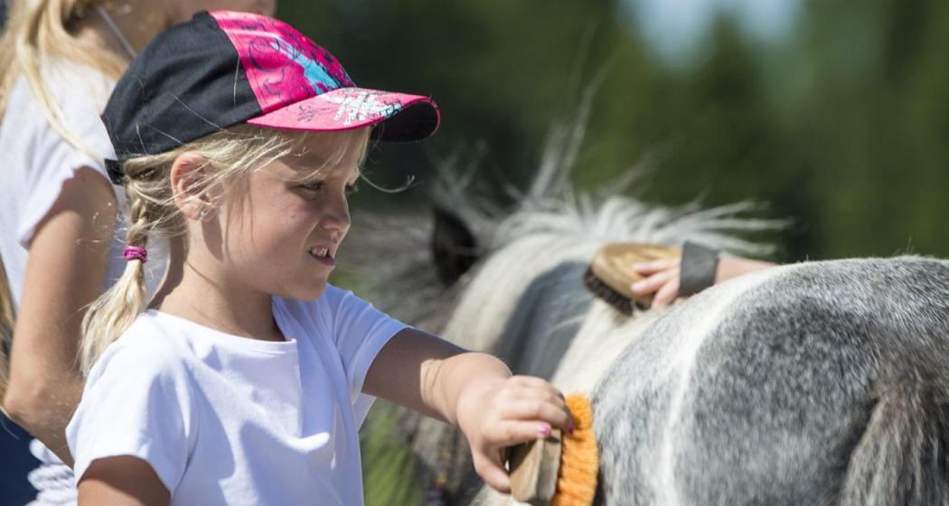 Reiten für Kinder (gdl_874818613_image) Reiten für Kinder (gdl_874818613_image)