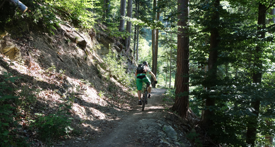Flowiger Trail zurück in die Stadt Chur