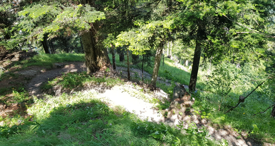 Trail-Einstieg Juchs