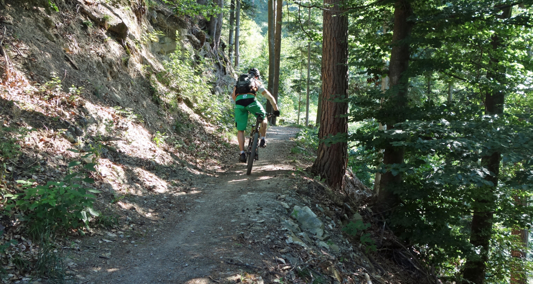 Trail-Spass in den Wäldern