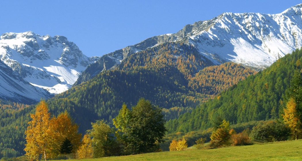 img_y2n-w7v_hjhge_y2w