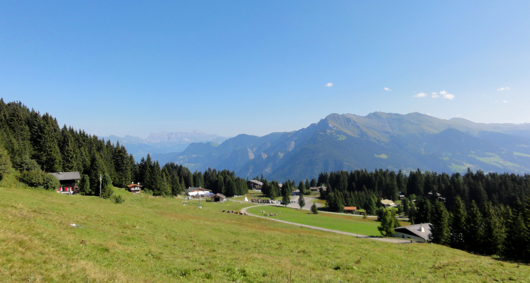 sehenswuerdigkeit_brambruesch_sommer-panorama_michaelchrist (5) sehenswuerdigkeit_brambruesch_sommer-panorama_michaelchrist (5)