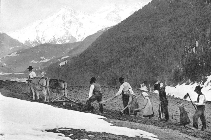 Graubünden farmer's family working in the fields (K. Hager Collection) Graubünden farmer's family working in the fields (K. Hager Collection)