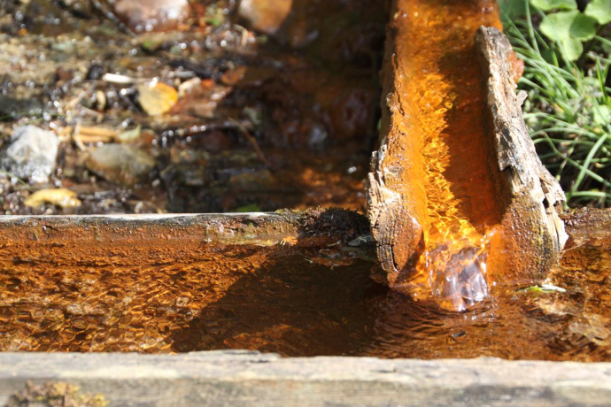 Source of Iron Source of Iron