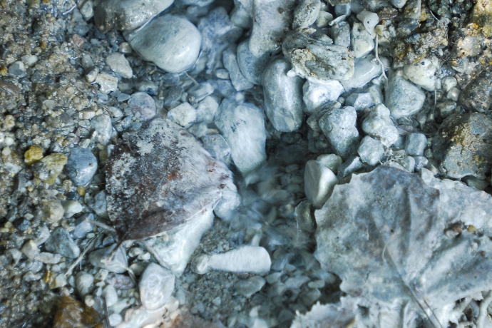 Sulphur spring Sulphur spring