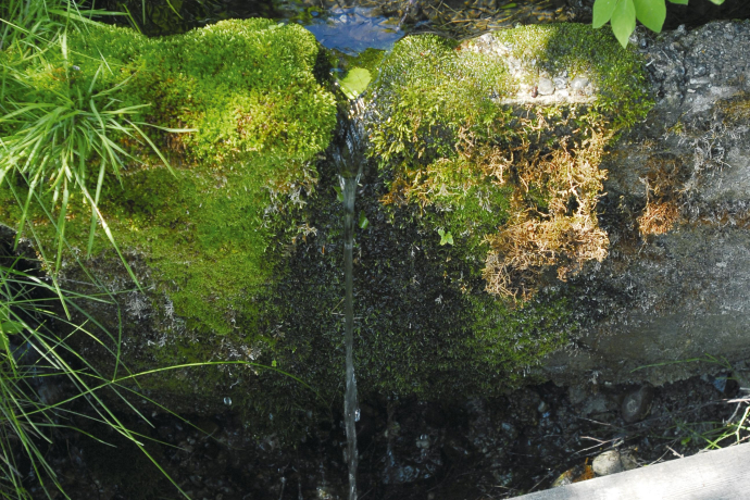 Small Spring Small Spring