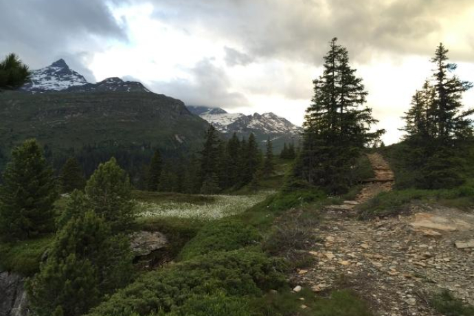 Bidanätsch; Foto: Remo Tönz Bidanätsch; Foto: Remo Tönz