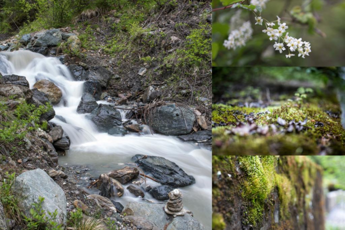 Clozza-Schlucht: Dem Ursprung entgegen (oua_16879379_image) Clozza-Schlucht: Dem Ursprung entgegen (oua_16879379_image)