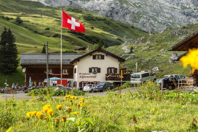 Alpenrösli im Sommer Alpenrösli im Sommer