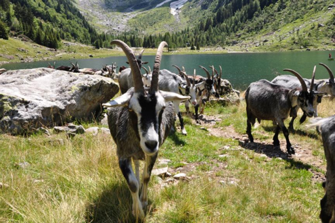 Val Cama (oua_17547598_image)