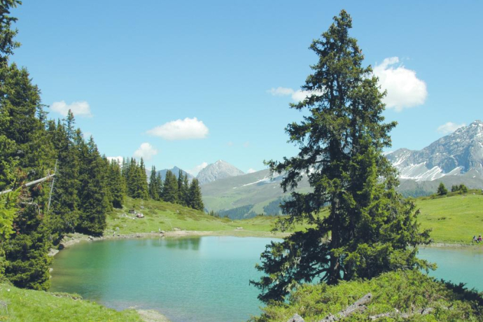 Grillstelle Oberer Prätschsee Grillstelle Oberer Prätschsee