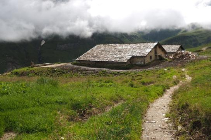 Alp Selva; Foto: Markus Schlegel Alp Selva; Foto: Markus Schlegel