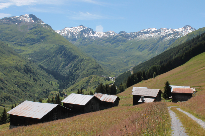 Caspausa mit Piz Badus