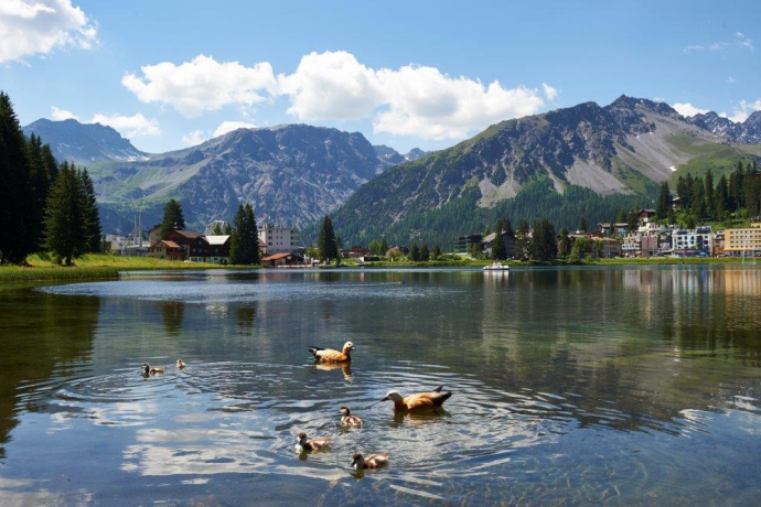 Obersee Summer Obersee Summer