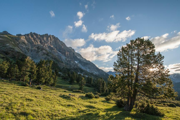 Nationalpark: Val Mingèr – Sur il Foss – Fuorcla Val dal Botsch – Ofenpassstrasse (oua_22674607_image) Nationalpark: Val Mingèr – Sur il Foss – Fuorcla Val dal Botsch – Ofenpassstrasse (oua_22674607_image)