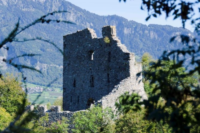 Cheminée Wartenstein