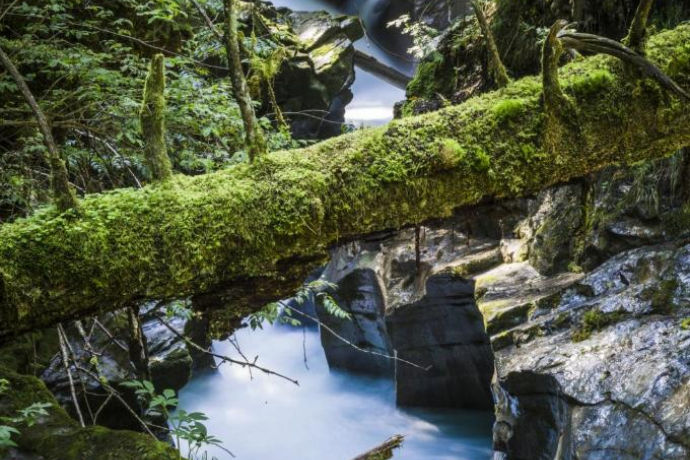 Felsbachschlucht Felsbachschlucht
