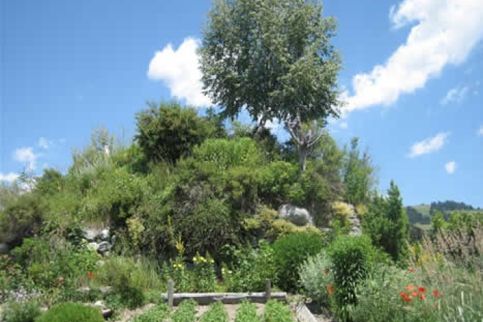 Burgruine Marmarola, Brigels (oua_23982508_image)