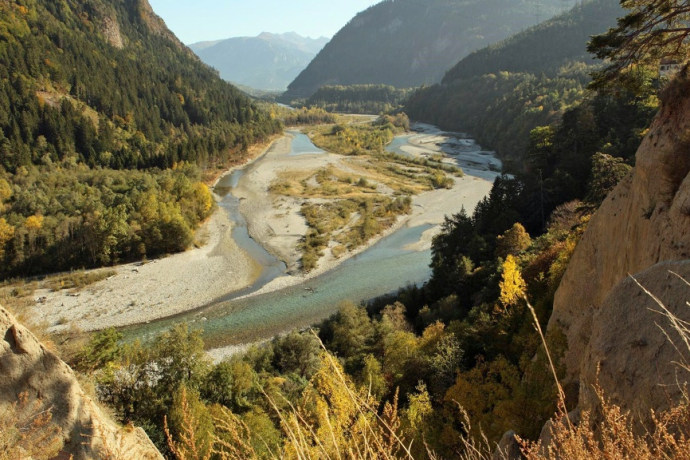 Rheinauen Rhäzüns Rheinauen Rhäzüns