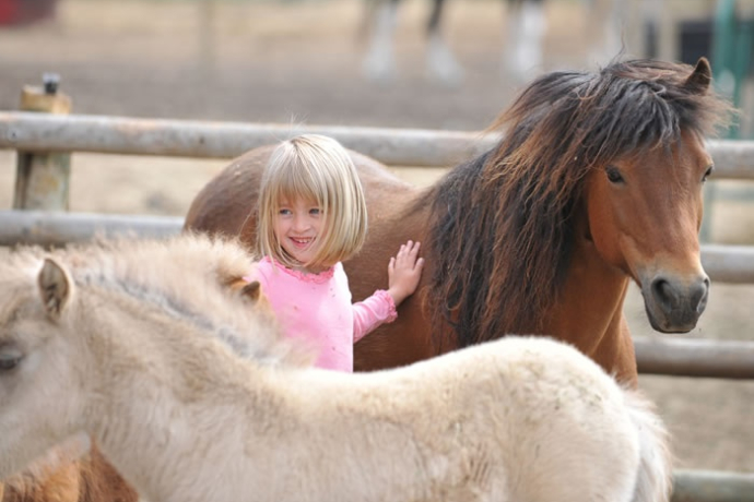 Reitschule Klosters (oua_29661902_image)