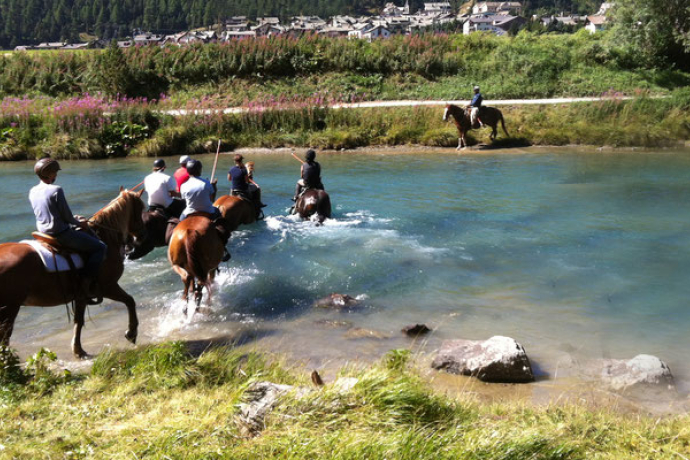 HETS Die Schule für Natural Horsemanship (oua_30375678_image) HETS Die Schule für Natural Horsemanship (oua_30375678_image)