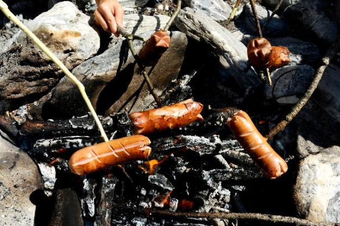 Fireplace at the Lai da Padnal (oua_30765531_image)