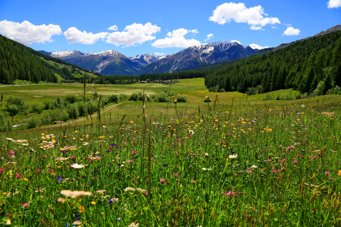Blick auf Fuldera im Val Müstair.
